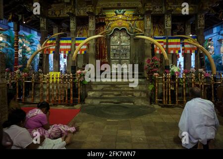 Kandy, Sri Lanka: Einige weiß gekleidete Gläubige sitzen im Gebet im Tempel der heiligen Zahnreliquie (Sri Dalada Maligawa) Stockfoto