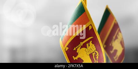 Kleine Nationalflaggen der Sri Lanka auf einem Licht Verschwommener Hintergrund Stockfoto