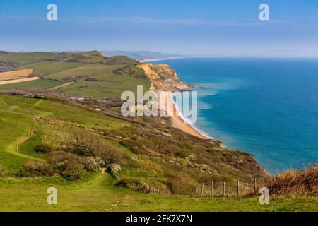 Seatown Beach und das Ridge Cliff Land fallen vom South West Coast Path auf Golden Cap, Dorset, England Stockfoto