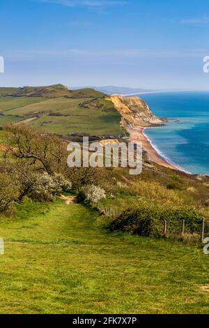 Seatown Beach und das Ridge Cliff Land fallen vom South West Coast Path auf Golden Cap, Dorset, England Stockfoto