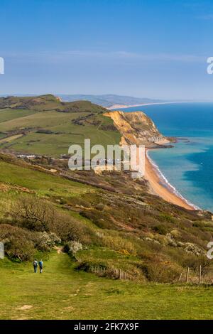 Seatown Beach und das Ridge Cliff Land fallen vom South West Coast Path auf Golden Cap, Dorset, England Stockfoto