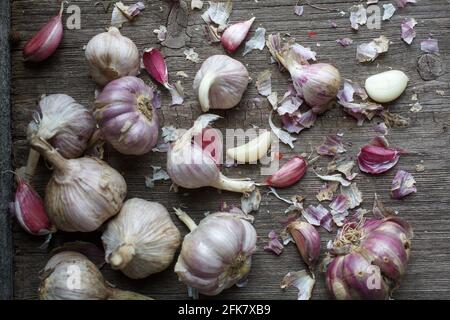 Knoblauch und Knoblauchzehen auf einem strukturierten grauen Holzhintergrund. Stockfoto