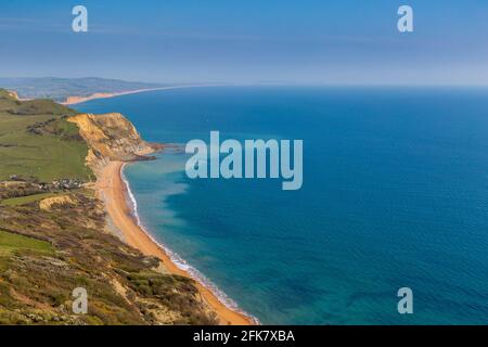 Seatown Beach und das Ridge Cliff Land fallen vom Golden Cap an der Jurassic Coast, Dorset, England Stockfoto