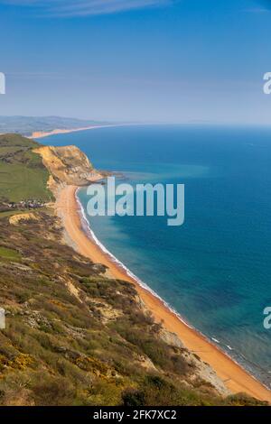 Seatown Beach und das Ridge Cliff Land fallen vom Golden Cap an der Jurassic Coast, Dorset, England Stockfoto