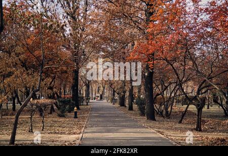 Gehweg in einem Park, Almaty, Kasachstan Stockfoto