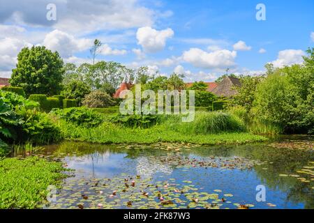 The Horse Pond mit rosa und roten Seerosen und Gunnera tinctoria in Great Dixter, Northiam, East Sussex, Heimat des berühmten Gärtners Christopher Lloyd Stockfoto