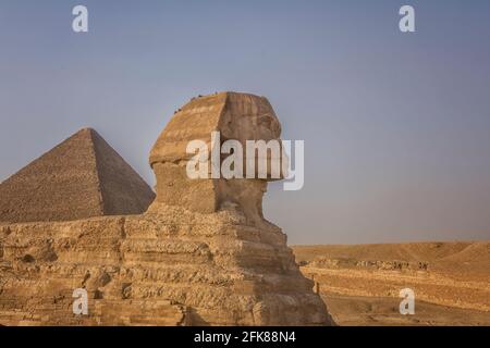 Die Sphinx vor den Pyramiden, Blick aus der Nähe Stockfoto