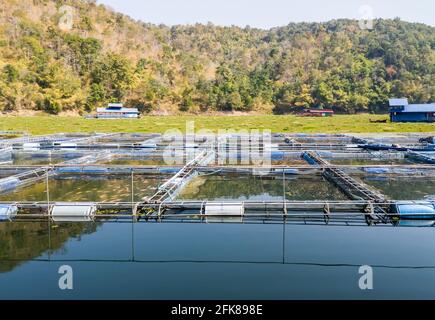 Gruppe der Fische, die Käfig mit den vielen Süßwasserfischen im großen Reservoir des Landstaudamms, ein lokaler Bauer in Thailand, Vorderansicht für Stockfoto