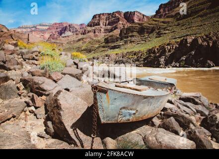 Das Ross Wheeler Boot wurde in Cataract Canyon 1914 entlang des Colorado River in den Grand Canyon in Arizona. Stockfoto