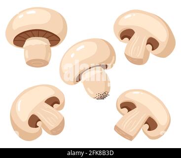 Cartoon-Champignon. Essbare leckere reife Pilzscheiben, köstliche rohe Champignon-Pilze Vektor-Illustration-Set. Frischer Champignon Stock Vektor