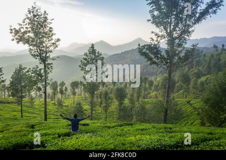 Atemberaubende Aussicht auf die Berge von der Teeplantage. Stockfoto