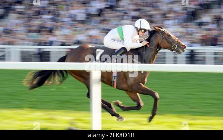 RENNEN IN ASCOT 27/9/2008. REGENBOGENANSICHT GEWINNEN DER MEON VALLEY STUD FOHLEN MEILE. BILD DAVID ASHDOWN Stockfoto