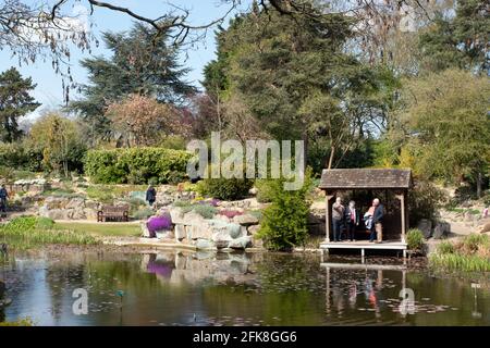 Burnby Hall Gardens im Frühling Stockfoto