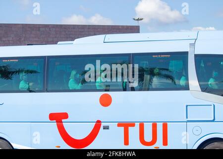 Las Palmas, Gran Canaria, Kanarische Inseln, Spanien. April 2021. Passagiere von TUI-Kreuzfahrtschiffen, die Gesichtsmasken tragen, kommen vom Flughafen aus im Hafen von Las Palmas an. Alle Passagiere kommen am selben Tag mit denselben mehreren TUI-Flügen aus Deutschland an, führen vor der Abreise einen negativen Covid-Test durch und halten sich an die strengen Covid-Protokolle an Bord. TUI Inter-Islands Cruises (für deutsche Touristen) ist seit Januar in Betrieb. Quelle: Alan Dawson/Alamy Live News. Stockfoto