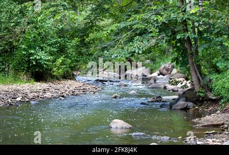 Minnehaha Creek im friedlichen unteren Teil des Minnehaha Parks - Minneapolis, Minnesota - Minnehaha Creek ist ein Nebenfluss des Mississippi River Stockfoto