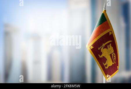 Eine kleine Flagge von Sri Lanka auf dem Hintergrund Ein unscharfer Hintergrund Stockfoto