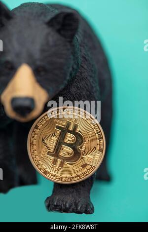 Bitcoin Kryptowährung Münze mit einem Grizzly Bär. Bärischer Bitcoin-Handel Stockfoto