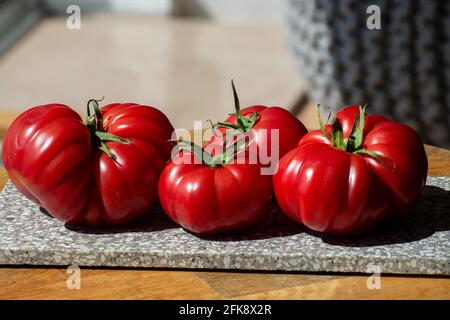 Reife rosa leckere monterosa-Tomaten aus Spanien aus nächster Nähe Stockfoto