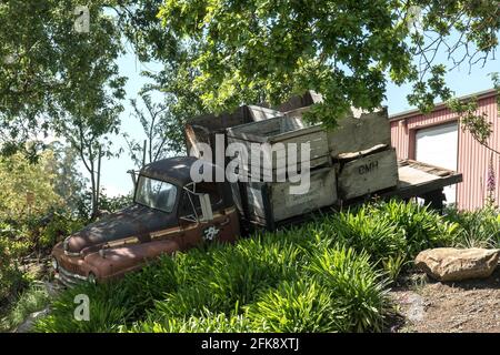 LKW auf dem Hügel bei La Crema Estate Winery Stockfoto