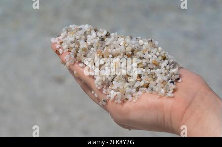 Details des Quarzsands des Strandes von is arutas, Cabras, Sardinien Stockfoto