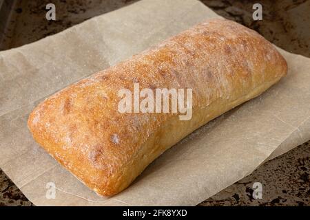 Frisch gebackene Ciabatta auf dem Backblech auf dem Tisch in der Bäckerei, hausgemachtes, italienisches Chiabata-Brot Stockfoto