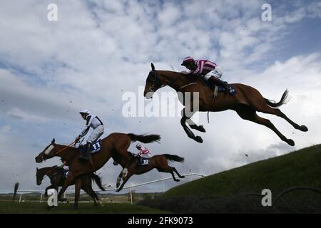 Läufer und Reiter beim Mongey Communications La Touche Cup Cross Country Chase am dritten Tag des Punchestown Festivals auf der Rennbahn von Punchestown in der Grafschaft Kildare, Irland. Ausgabedatum: Donnerstag, 29. April 2021. Stockfoto