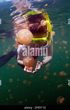 Schnorchler und nicht-giftige Quallen am Jellyfish Lake, Eil Malk Island, Palau, Mikronesien Stockfoto