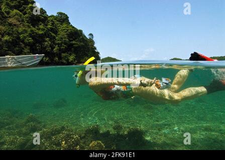 Über-unter-Foto von Schnorchler über Hartkorallen in der seichten Lagune, Coiba Marine Park, Panama Stockfoto