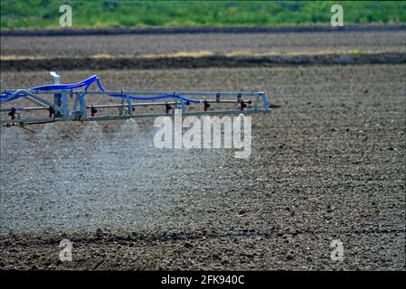 Traktor sprüht Weizenfeld mit Sprüher, Herbiziden und Pestiziden. Frühfrühling von Pestiziden sprühen. Chemische Behandlung in der Landwirtschaft. Stockfoto