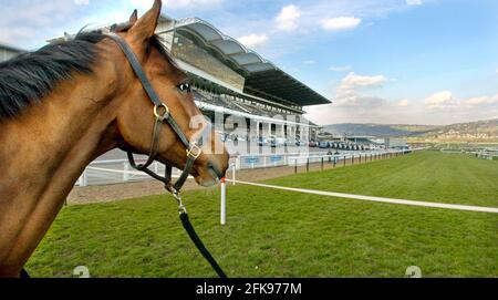 CHELTENHAM MACHT SICH BEREIT 14/3/2005 ESSEX VON TRAINER MIKE O'BRIAN, DER IN DER MEISTERHÜRDE IST. BILD DAVID ASHDOWN RACING Stockfoto