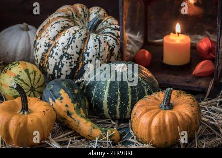 Variation von Kürbissen und dekorativen Kürbissen mit einer rostigen Laterne Auf Stroh Stockfoto