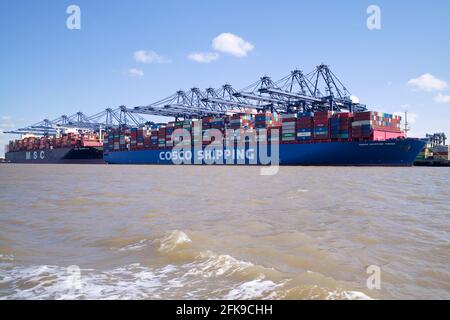 Die Containerschiffe COSCO Shipping Pisces und MSC Isabella dockten im Hafen von Felixstowe, Suffolk, Großbritannien, an. Stockfoto