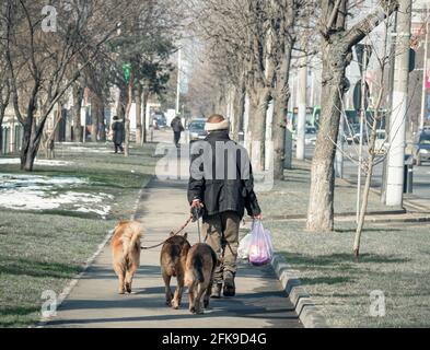 Obdachloser Mann mit drei streunenden Hunden und Taschen mit Lebensmitteln auf dem Bürgersteig, in Bukarest Rumänien Stockfoto