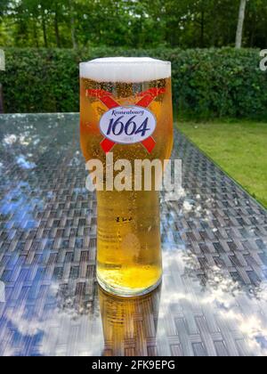 London, Vereinigtes Königreich - 18. Juli 2016: Ein kaltes Glas Kronenbourg 1664, ein 5.5 % blasses Lagerbier, das im Freien in einem Pub-Garten serviert wird. Kronenborg 1664 Stockfoto