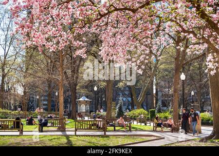 Menschen, die durch den Rittenhouse Square in Springtime, Philadelphia, Pennsylvania, USA, wandern Stockfoto