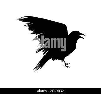 Eine Vektordarstellung des schwarzen Krähenvektorzeichens Stock Vektor