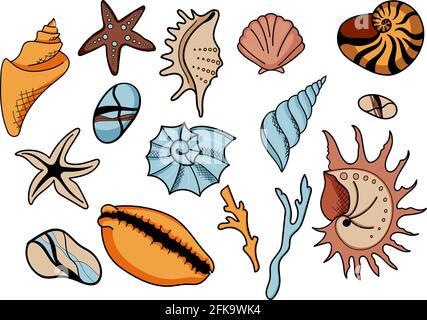 Handgezeichnete Muscheln. Set aus Algen, Steinen, Muscheln Stock Vektor