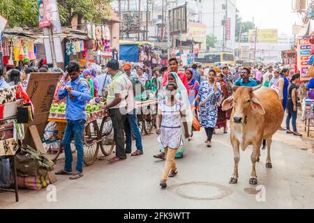 VARANASI, INDIEN - 25. OKTOBER 2016: Strassenverkehr mit einer Kuh in Varanasi, Indien Stockfoto