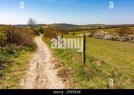 Der Weg des Monarchen, der nach Westen zum Dorf Findon führt - South Downs National Park, West Sussex, Großbritannien. Stockfoto