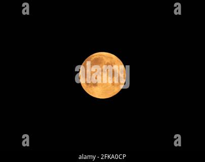 Oranger Mond Stockfoto
