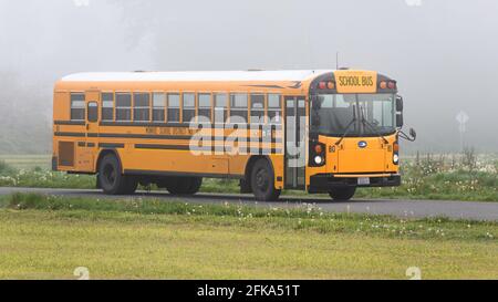 Monroe, WA, USA - 29. April 2021; EIN Monroe-Schulbus an einem nebligen amerikanischen Morgen im nördlichen Ende des Snoqualmie Valley Farmlands im Bundesstaat Washington Stockfoto