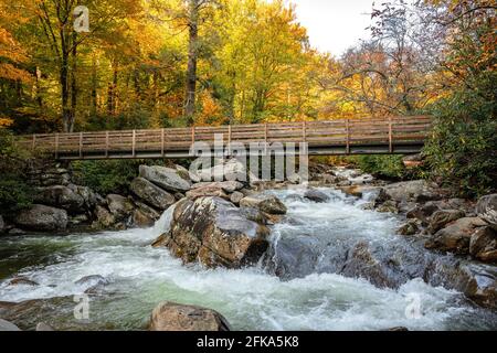 Brücke über den Little Pigeon River im Herbst in the Great Smoky Mountains National Park Stockfoto