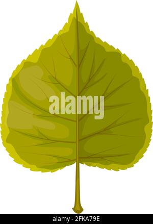 Lindenblatt Vektor-Symbol, Cartoon-Baum Laub, Blatt von grüner Farbe. Botanisches Design-Element, Natur oder Wald Thema isoliert auf weißem Hintergrund, SIG Stock Vektor