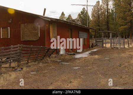 Ein vertauftes rotes Haus am Rande des Fremont-Winema National Forest im ländlichen Klamath County, Oregon. Stockfoto