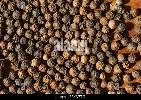 Würzige schwarze Pfefferkörner, Piper nigrum, in der Nachmittagssonne auf einer Holzoberfläche verstreut. Stockfoto