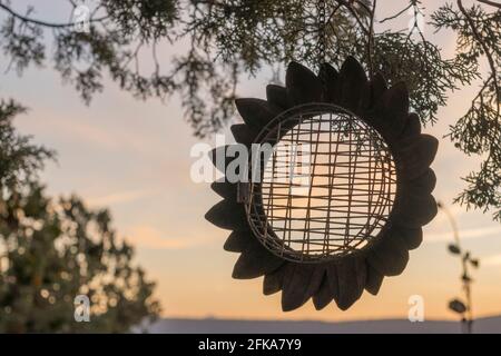 Ein blütenförmiger Futterhäuschen in einem Garten bei Sonnenuntergang. Stockfoto