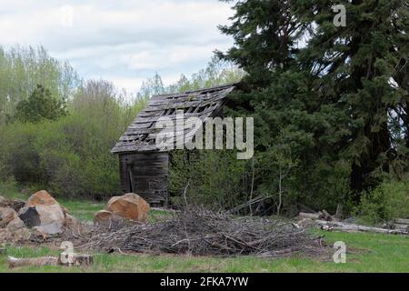 Eine alte verwitterte Hütte hat viel von ihrem Dach in der Nähe des Upper Klamath Lake National Wildlife Refuge in Oregon verloren. Stockfoto