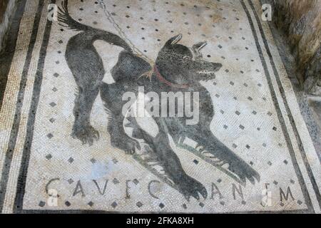 Cave canem Römisches Mosaik am Eingang zum Haus des tragischen Dichters in Pompeji, Italien Stockfoto