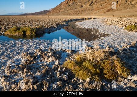 Badwater Basin, Death Valley National Park, Kalifornien. Ikonische kalkweiße Salzebenen, die sich 282 m unter dem Meeresspiegel befinden. Stockfoto