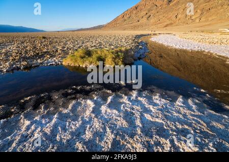 Badwater Basin, Death Valley National Park, Kalifornien. Ikonische kalkweiße Salzebenen, die sich 282 m unter dem Meeresspiegel befinden. Stockfoto